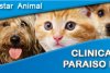 Clinica Veterinaria Paraiso de la Mascota
