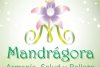 Mandrágora  - Armonía, Salud y Belleza