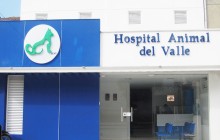 HOSPITAL ANIMAL DEL VALLE, Cali - Valle del Cauca