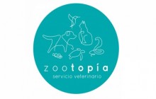 Zootopia Servicio Veterinario a Domicilio, Bogotá