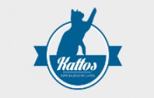 Kattos - Centro Veterinario especializado para Gatos, Bogotá