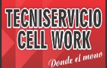 TECNISERVICIO CELL WORK