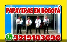 Excelente Papayera en Bogotá