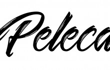 Pelecanus 