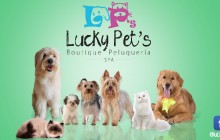 Lucky Pet's Boutique Peluquería SPA, Cali - Valle del Cauca