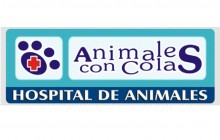 ANIMALES CON COLAS HOSPITAL DE ANIMALES - Armenia