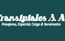 TRANSIPIALES S. A. - Agencia Terminal de Transportes, Popayán
