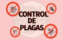 Abatir Plagas, PIEDECUESTA - Santander