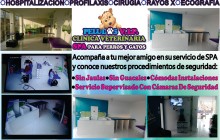 Peludos V.I.P - Clínica Veterinaria y Spa para Perros y Gatos, Funza - Cundinamarca