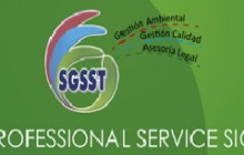SGSST - PROFESSIONAL SERVICE SIG, Cali