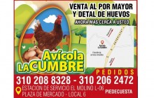 Avícola la Cumbre, Piedecuesta - Santander