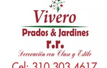 VIVERO PRADOS & JARDINES R.R., Chinauta - Cundinamarca