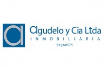 Inmobiliaria Agudelo y Cia. Ltda., Bogotá