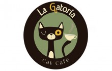 LA GATORIA CAT CAFE - Medellín, Antioquia