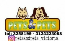 PETS&PETS, PEREIRA