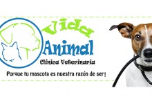 Vida Animal Clínica Veterinaria, Manizales - Caldas