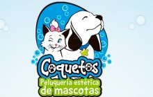 COQUETOS Peluquería Estética de Mascotas, Barrio Prados del Norte - Cali