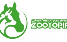 Centro Médico Veterinario Zootopia, Villavicencio - Meta