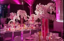 Alquiler de Luces led para bodas y eventos en Cartagena