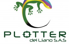 PLOTTER DEL LLANO S.A.S. - Villavicencio, Meta