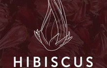 Hibiscus de los Andes, Fredonia - Antioquia