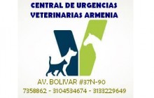 Central Urgencias Veterinarias Armenia, Quindío 