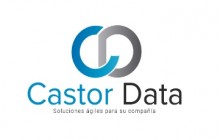 CASTOR DATA - Soluciones Ágiles para su Compañía, Bogotá