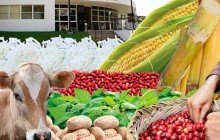 AGROVETERINARIA EL CORRAL DEL POLLO - Cartago